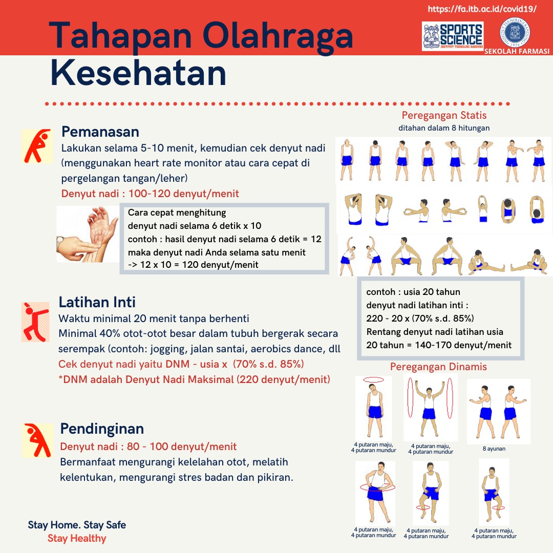 Tahapan Olahraga Kesehatan – Sekolah Farmasi